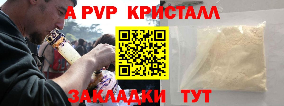 A PVP СК Майкоп
